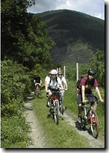 Hier ein Teil der Mountain-Biking-Gruppe